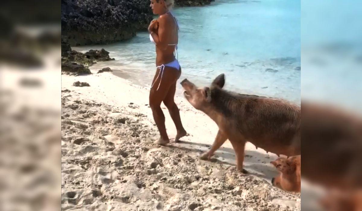 Tânără vedetă pe Instagram, muşcată de un porc pe o plajă exotică din Bahamas