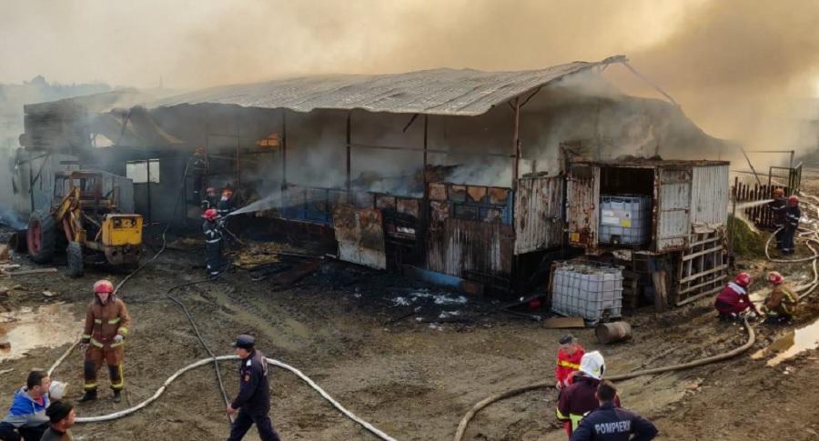 Incendiu Mizil Incendiu la o fermă de animale din Mizil