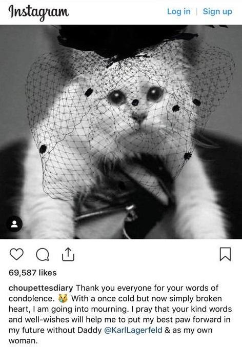 Pisica milionară a lui Karl Lagerfeld, în doliu pe Instagram