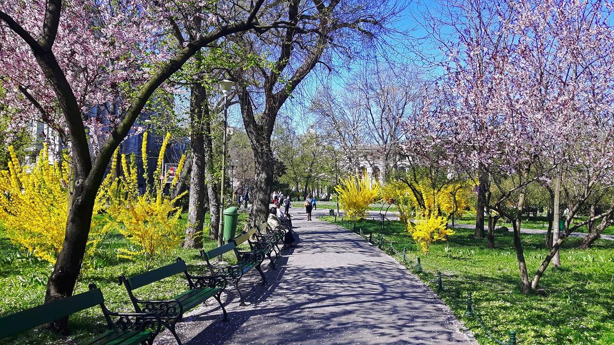 Vremea la începutul primăverii 2019 Prognoza meteo ANM pe două săptămâni