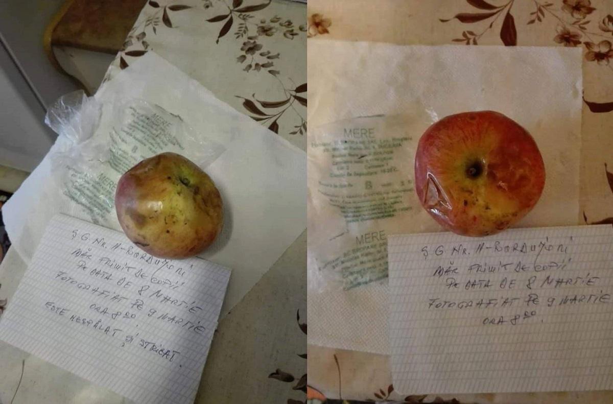 Mere alterate într-o școală din Suceava Mere stricate