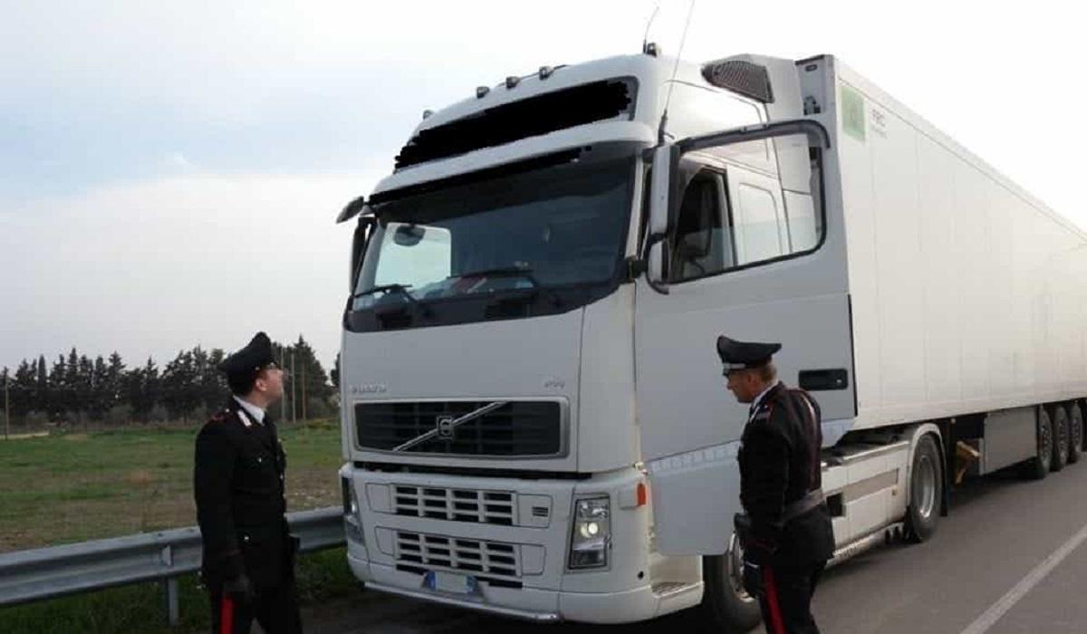 Şofer de TIR Şofer de TIR în Italia