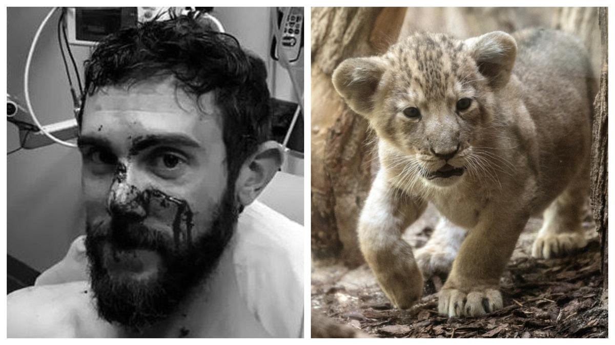 puma ucisa mainile goale pui Puma ucisă cu mâinile goale de un tânăr era de fapt un pui de numai trei luni