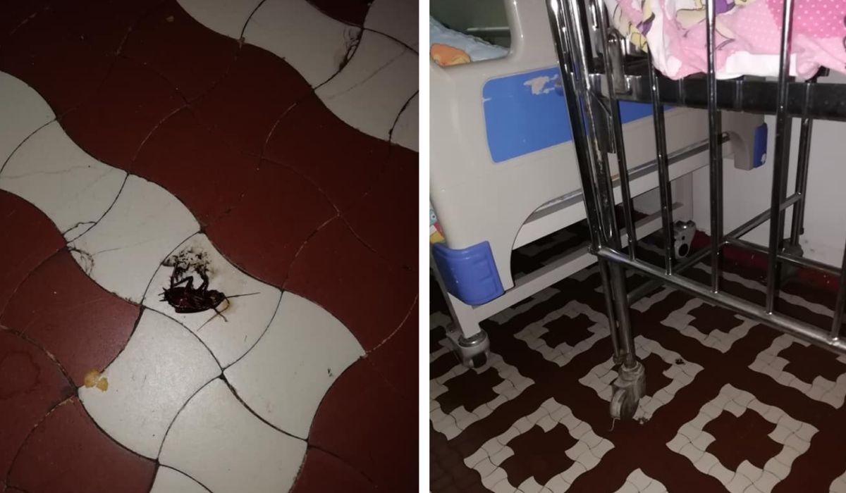 gandaci copii spital deva Gândaci printre copiii bolnavi, în Spitalul Judeţean Deva