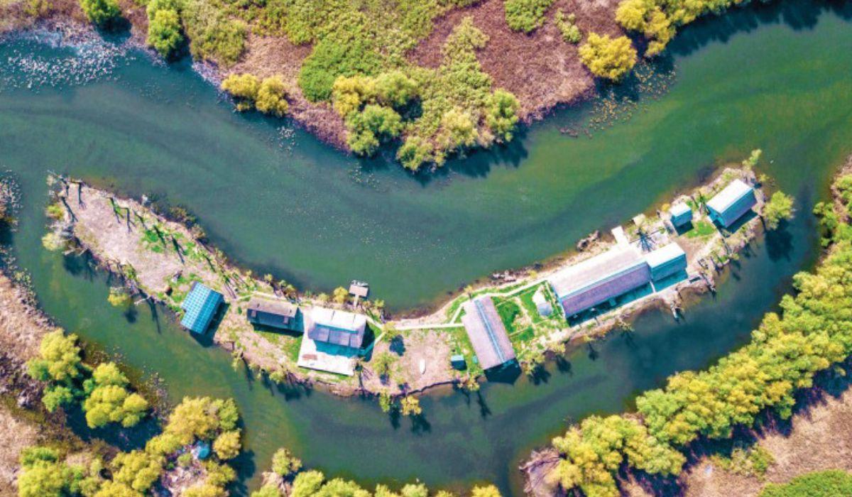 Insula Matiţa din Delta Dunării va fi scoasă la licitaţie pentru 350.000 de euro