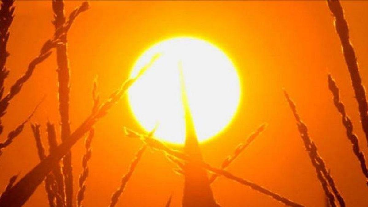 vremea 1 - 14 iulie 2019,prognoza anm,iulie Vremea 1 - 14 iulie 2019. Canicula loveşte România