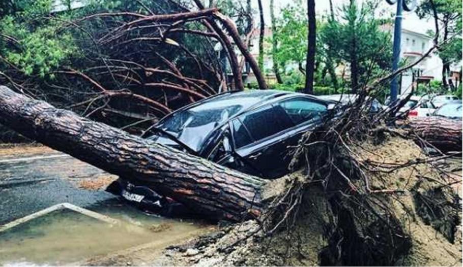 O tornadă a lovit nordul Italiei, băgând spaima în oameni Sunt pagube semnificative, după ce o tornadă a lovit nordul Italiei