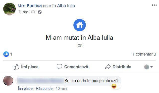 Un urs cu cont de Facebook terorizează oamenii din Pâclişa, Alba