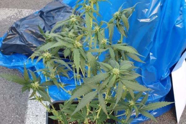Bărbatul din Bistriţa a fost reţinut şi urmează să se decidă eventuala arestare