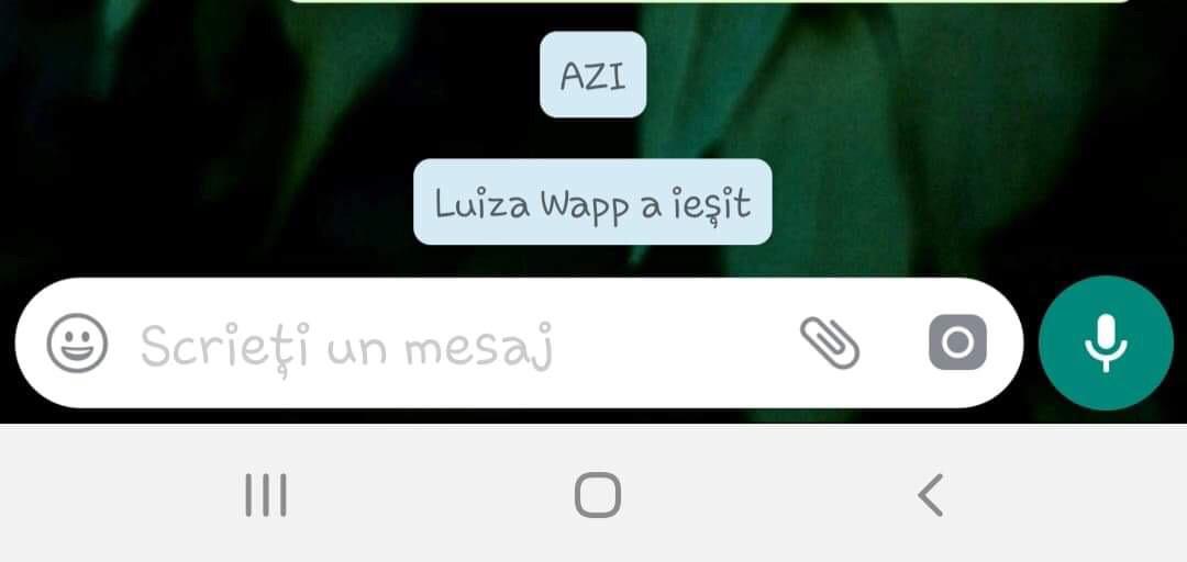 Numărul de telefon al Luizei a fost folosit pe WhatsApp pe 15 august 2019, la ora 00.56