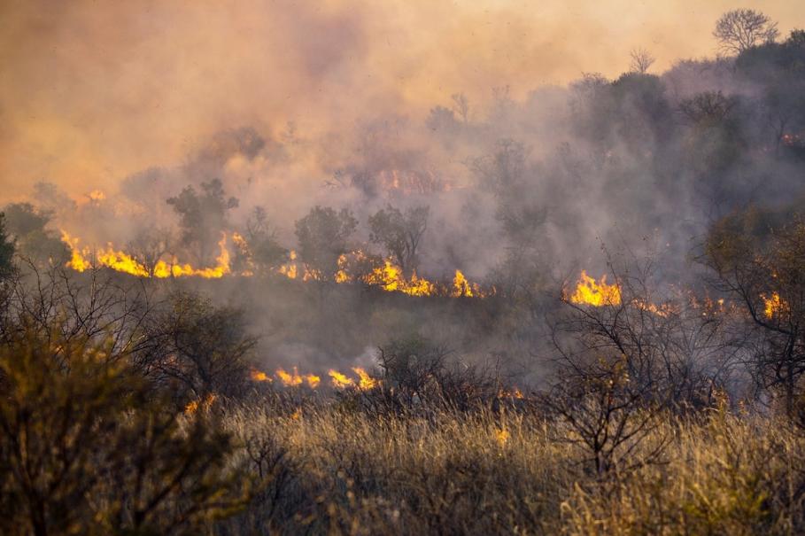 Incendii de vegetație Atenționare de călătorie MAE