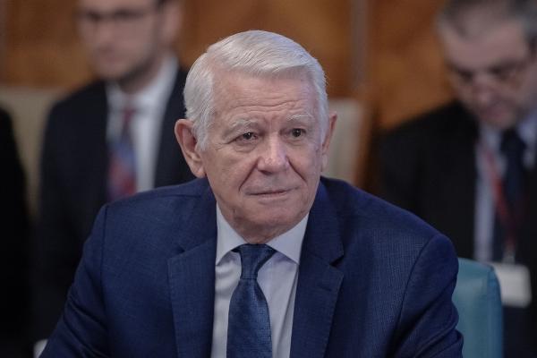 Teodor Meleșcanu a fost votat președinte al Senatului.