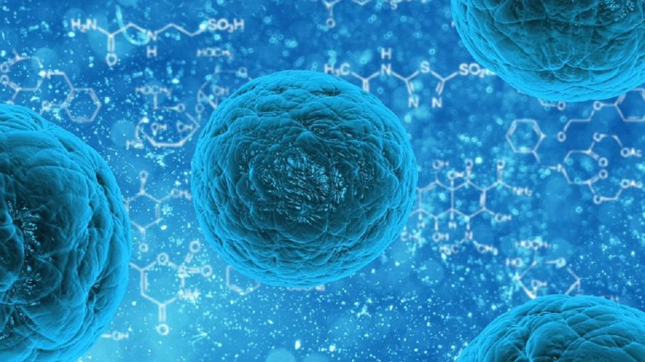 Bacterii Cum ajung bacteriile și virusurile în corp