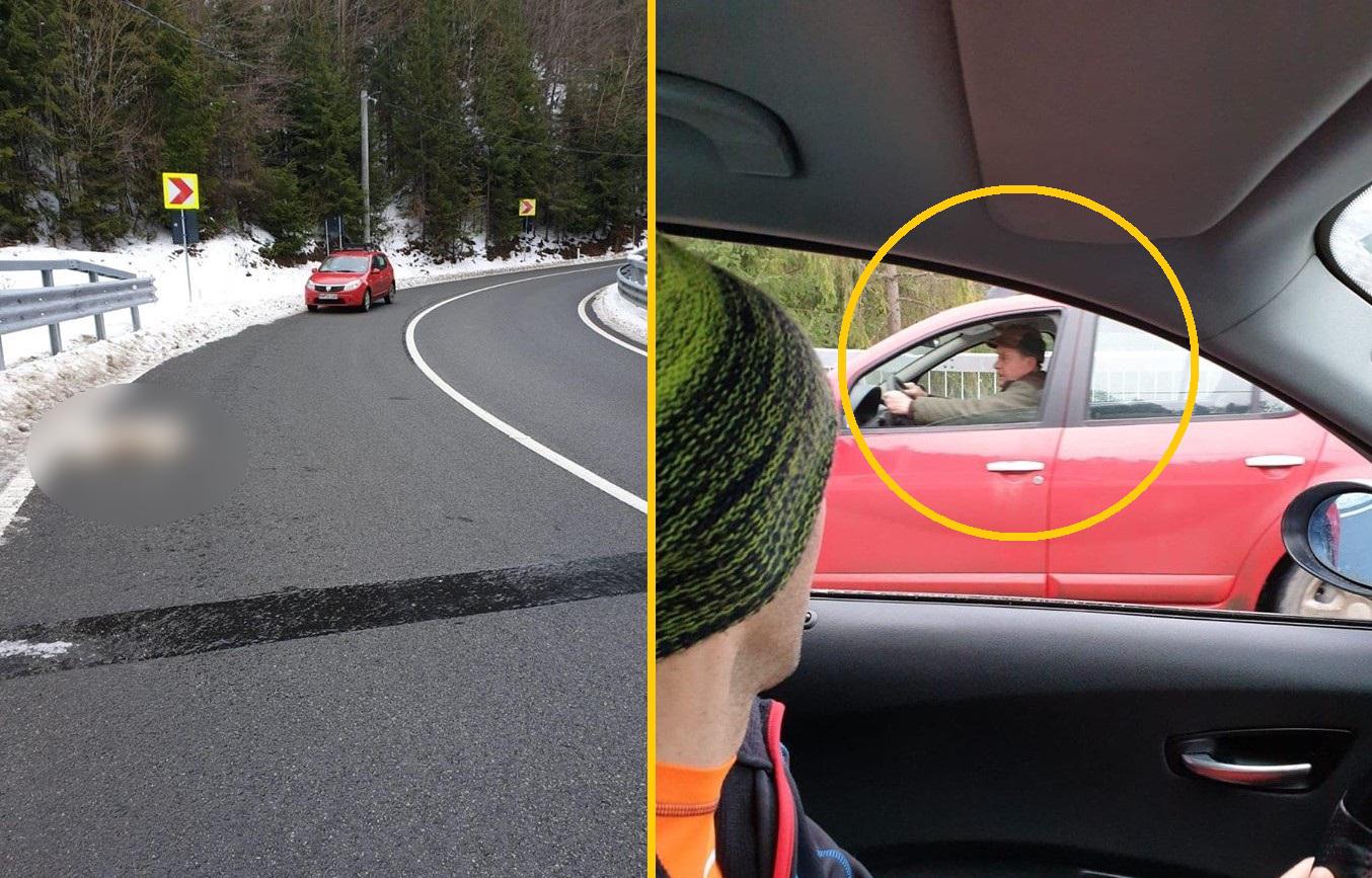 Câinele împușcat zace pe drum lângă mașina paznicului de vânătoare