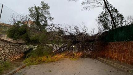 Românca dormea alături de soţul ei în parc