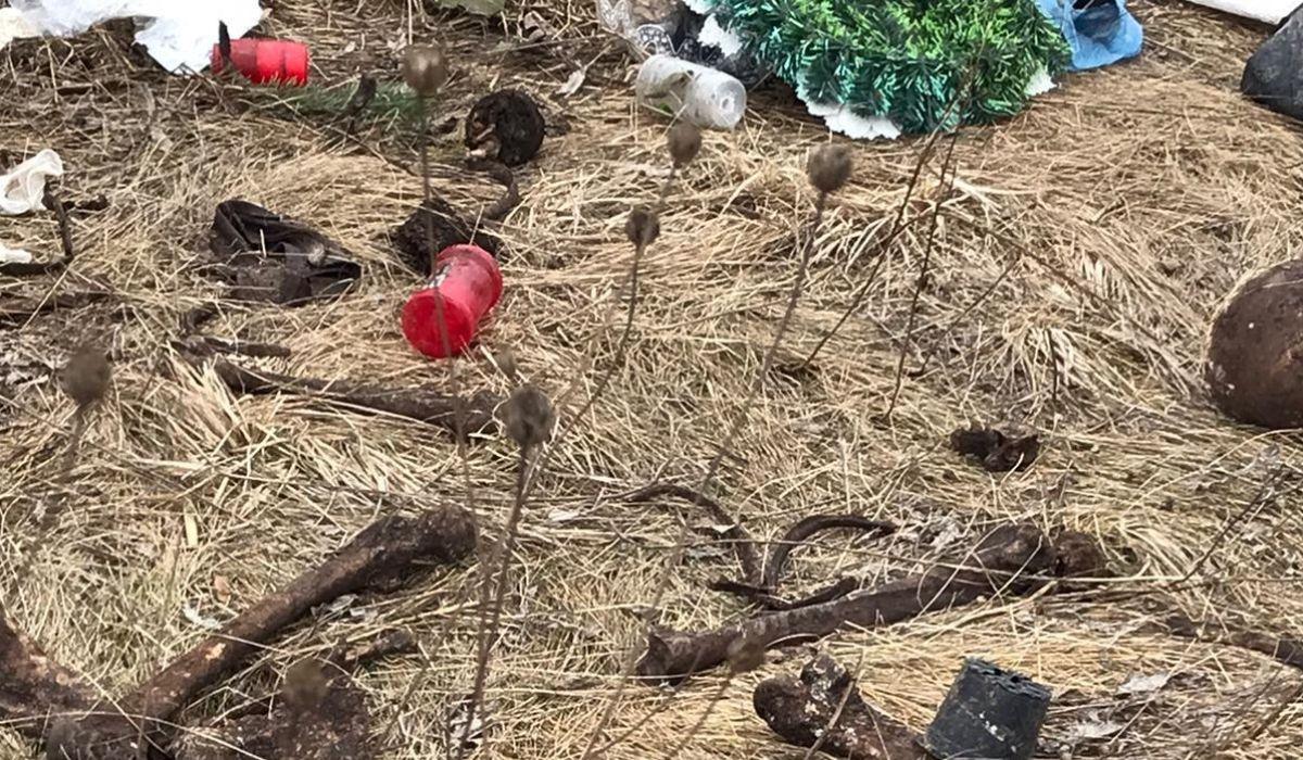 Resturi de cadavre aruncate pe câmp, la Timişoara