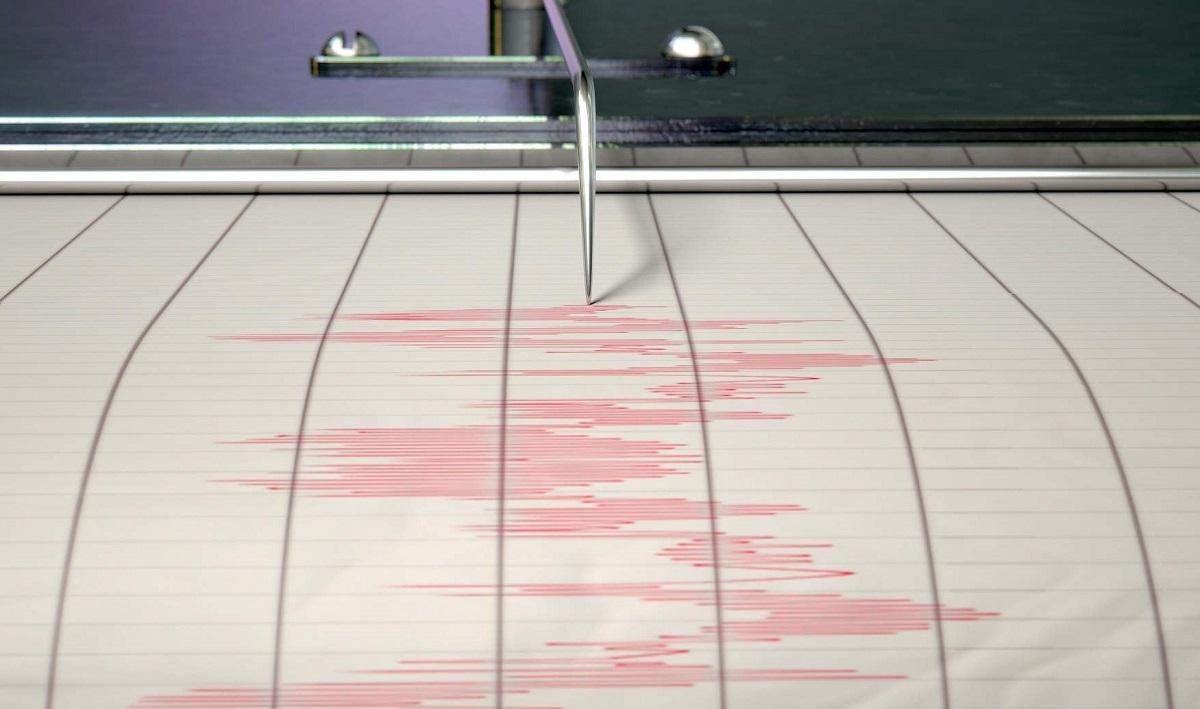 Seismograf arată producerea unui cutremur