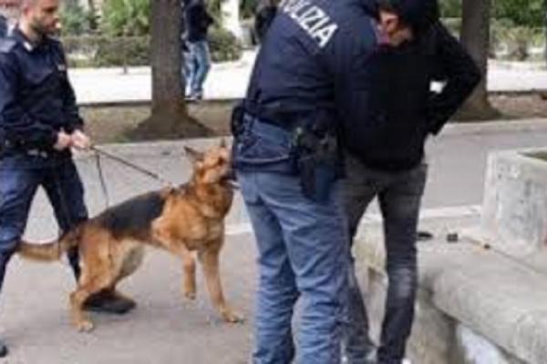 Românul a fost arestat pentru trafic şi deţinere de droguri