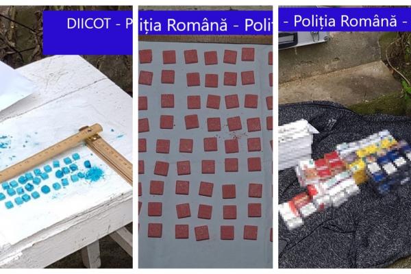 Traficantul avea o cultură de cannabis