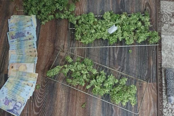 Traficantul din Bihor ar putea fi arestat preventiv pentru 30 de zile