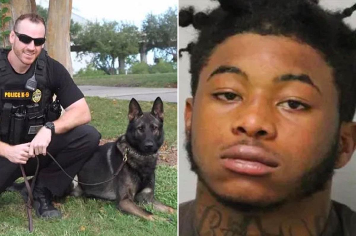 Un hoț de mașini din Florida a omorât câinele poliției Câinele l-a urmărit pe infractor prin pădure