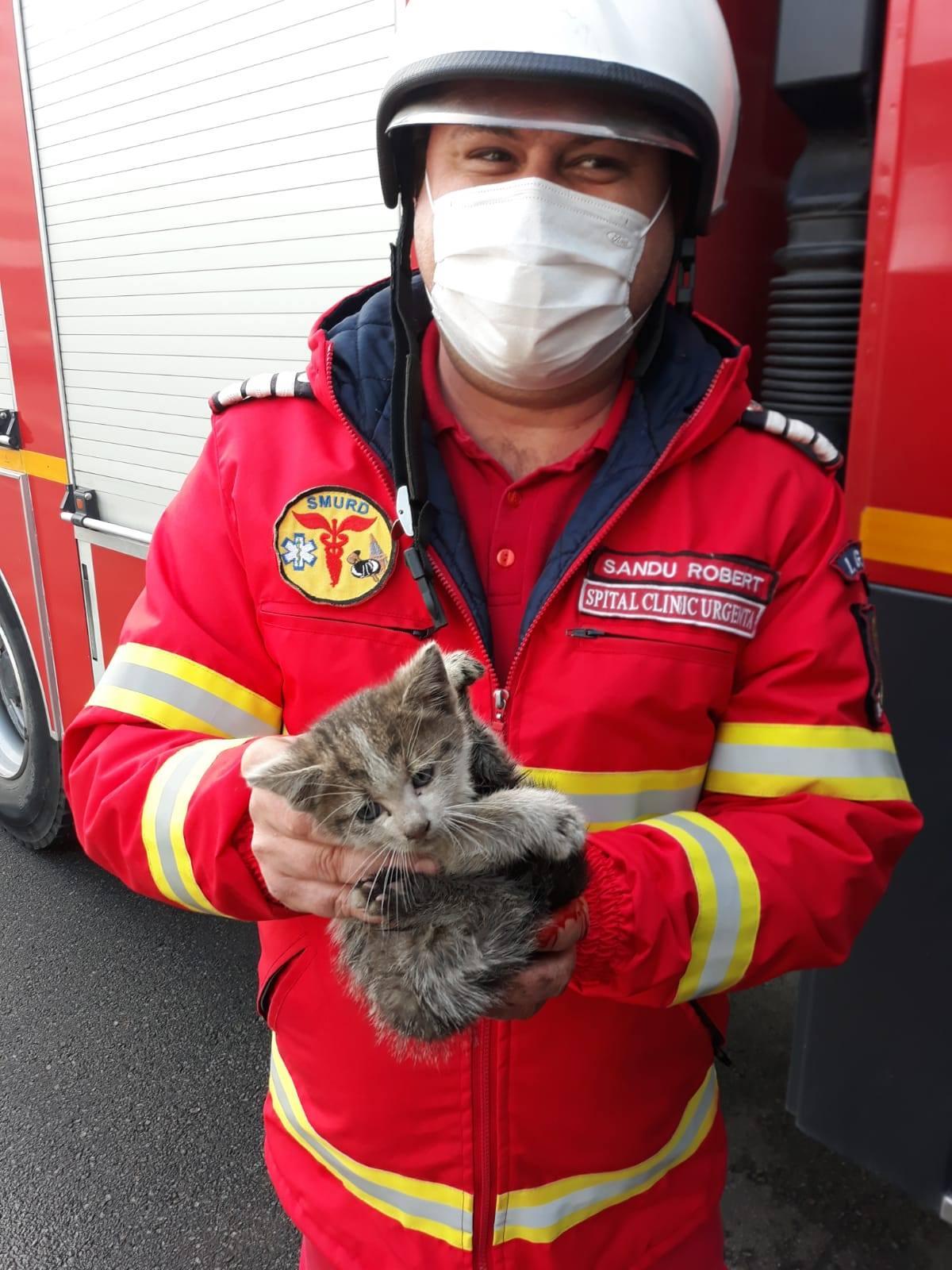 Un pompier ține în brațe o pisică pe care a salvat-o de sub un tramvai