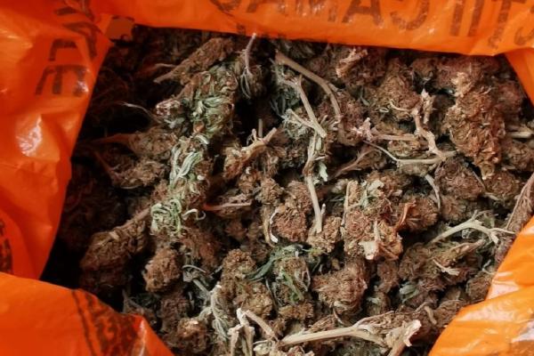 Traficanţii de droguri din Alba au fost reţinuţi pentru 24 de ore