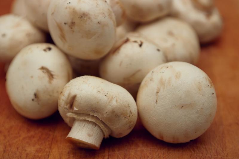 Poate fi agricultura o afacere profitabilă? Iată ce spun cei care trăiesc din asta! Poate fi agricultura o afacere profitabilă? Iată ce spun cei care trăiesc din asta!