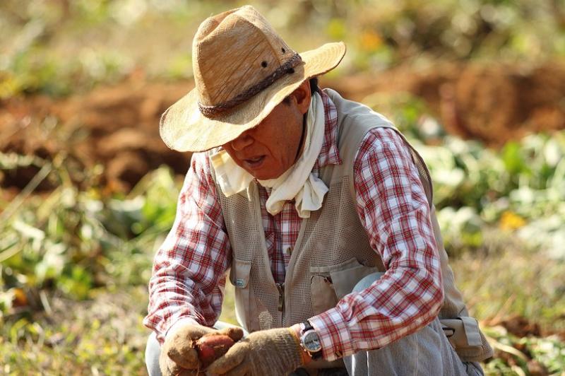 Poate fi agricultura o afacere profitabilă? Iată ce spun cei care trăiesc din asta! Poate fi agricultura o afacere profitabilă? Iată ce spun cei care trăiesc din asta!