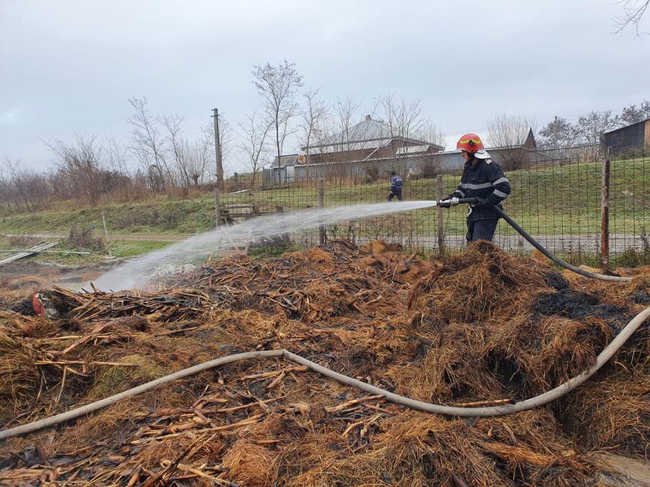 Şapte animale au murit, după un incendiu produs la un adăpost din Suceava Şase oi şi un cal au murit în incendiul de la Suceava