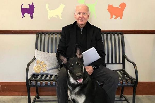 Joe Biden și-a luxat glezna în timp ce se juca cu câinele său, Major.