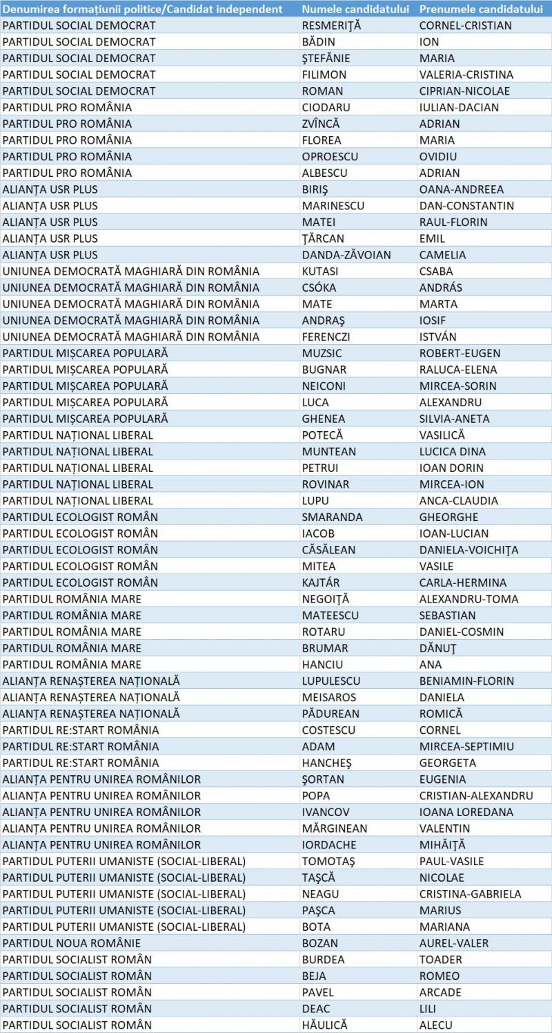 Candidați Senat Hunedoara