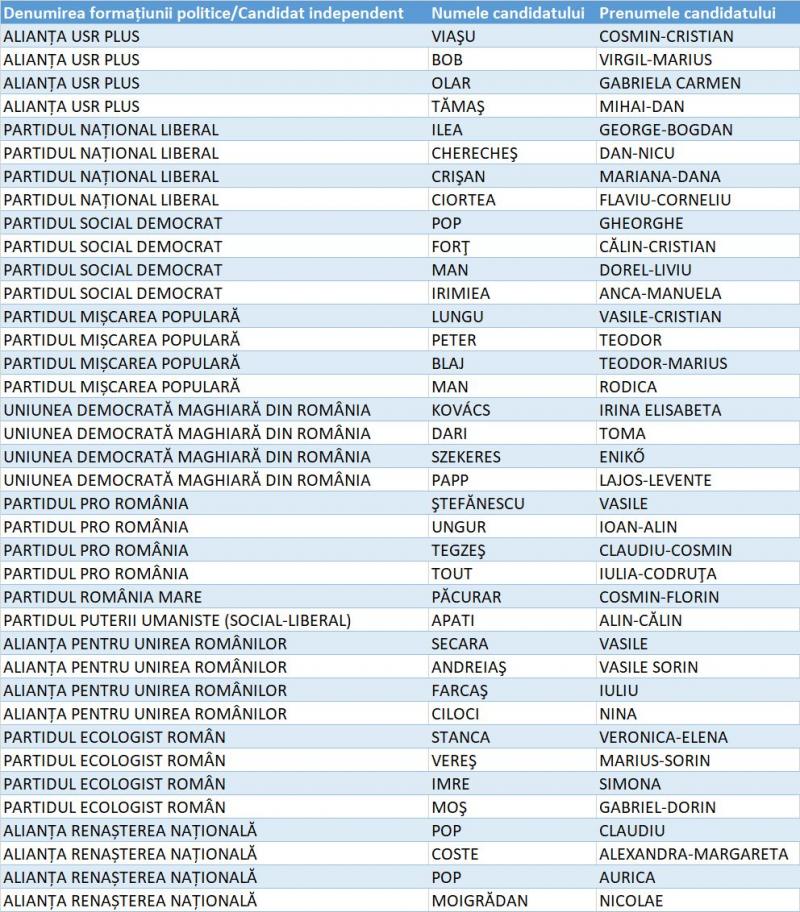 Candidați Senat Sălaj