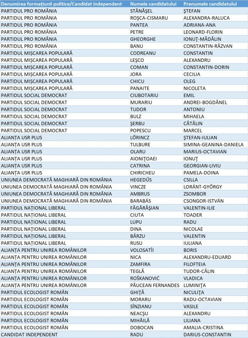 Candidați Camera Deputaților diaspora