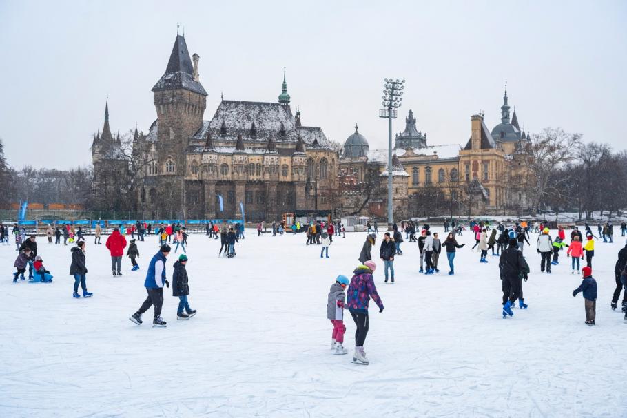 Copii au ieșit în parc și pe patinoar pentru a se distra alături de părinți, în vacanța de iarnă. Zeci de elevi au ieșit împreună cu părinții pe patinoar, în vacanța de iarnă.