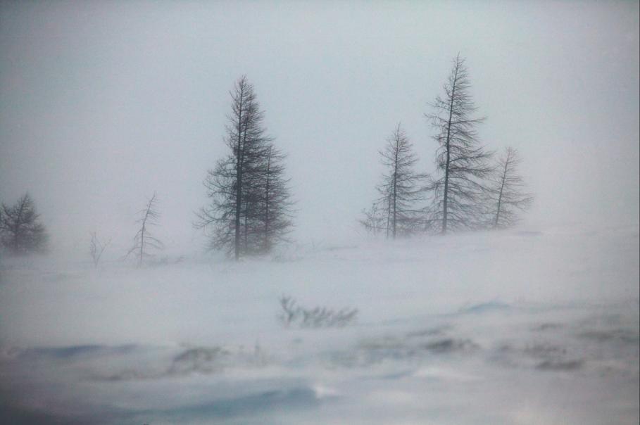 Nisoare viscolită şi vânt puternic Alertă cu efect imediat de fenomene meteo periculoase