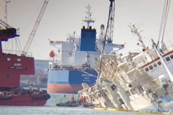 Peste 14.000 de oi moarte ar mai fi la bordul navei