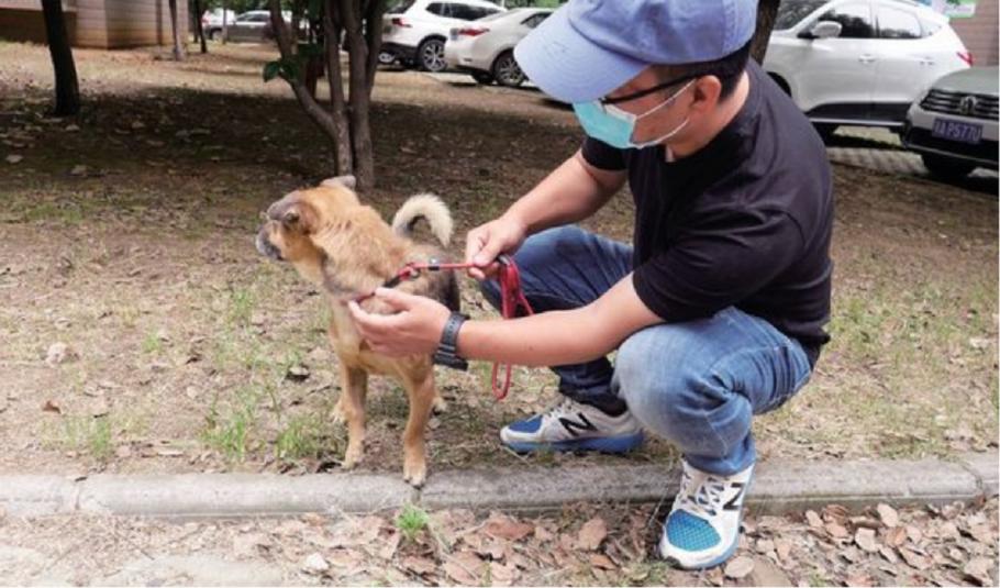 Un câine și-a așteptat trei luni, în holul spitalului, stăpânul răpus de coronavirus Stăpânul câinelui a murit la cinci zile de la internare