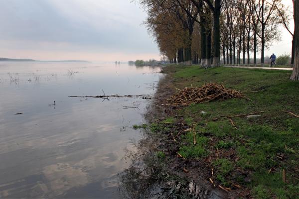 Un tânăr de 28 de ani și-a pus capăt zilelor după ce s-a legat și s-a aruncat în râul Moldova, în fața soției