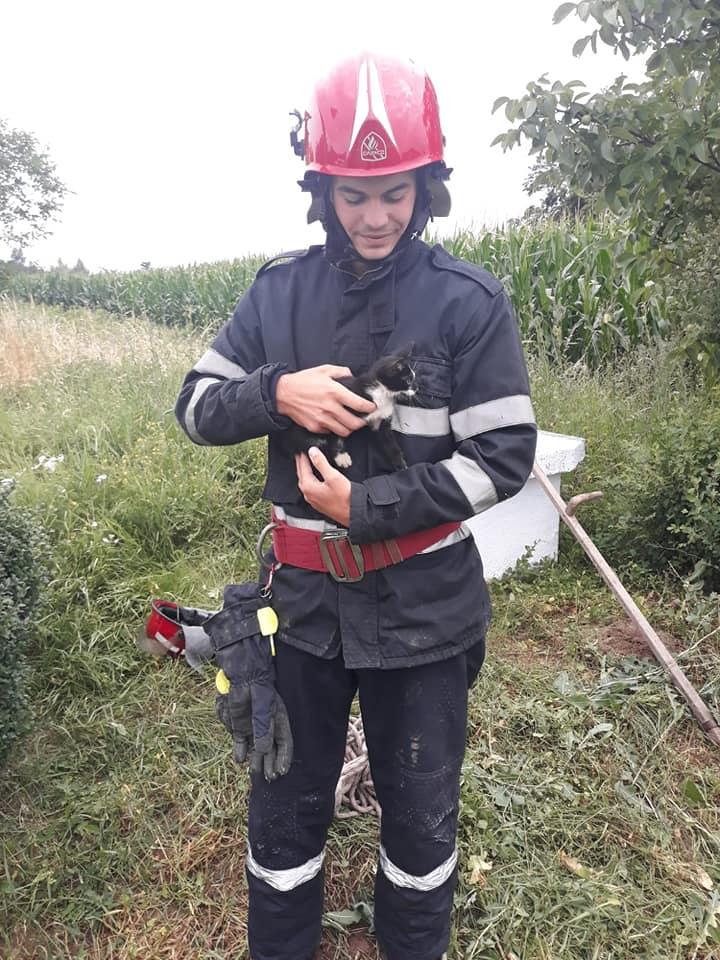 Pisicuța a fost salvată dintr-o fântână adâncă de cca 13 metri