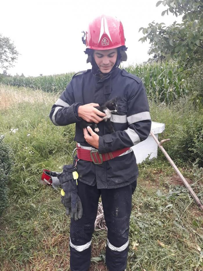 Pisicuța a fost salvată dintr-o fântână adâncă de cca 13 metri