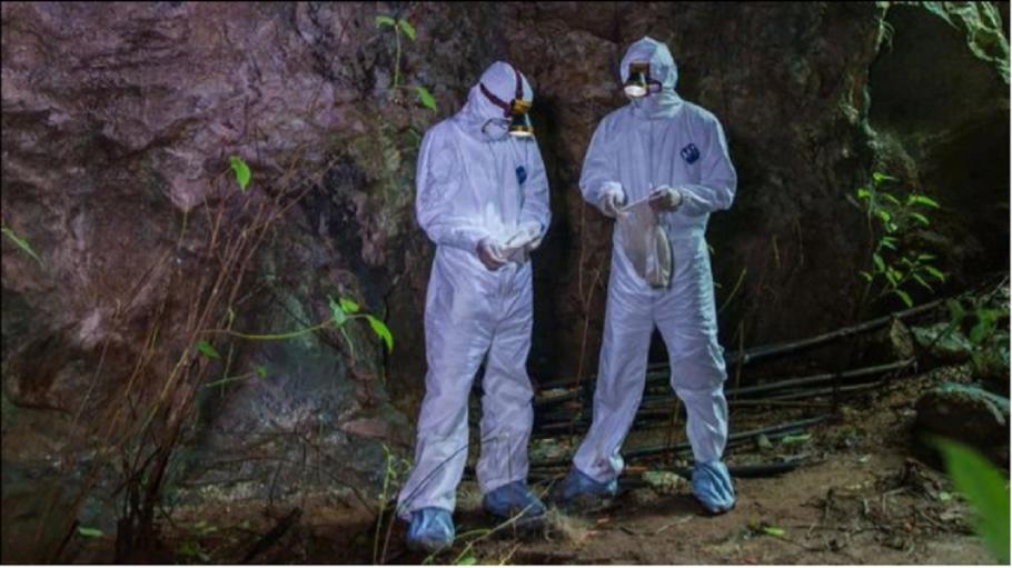 Coronavirusul ar fi apărut într-o mină din China, în 2012, conform ultimelor descoperiri ale specialiștilor Aproape 770.000 de persoane au murit din cauza noului coronavirus, la nivel global