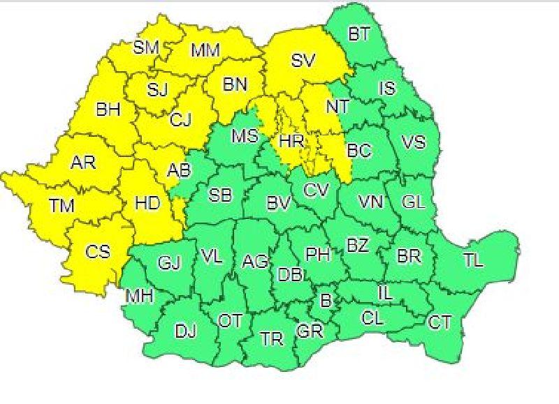 Cod galben de furtuni