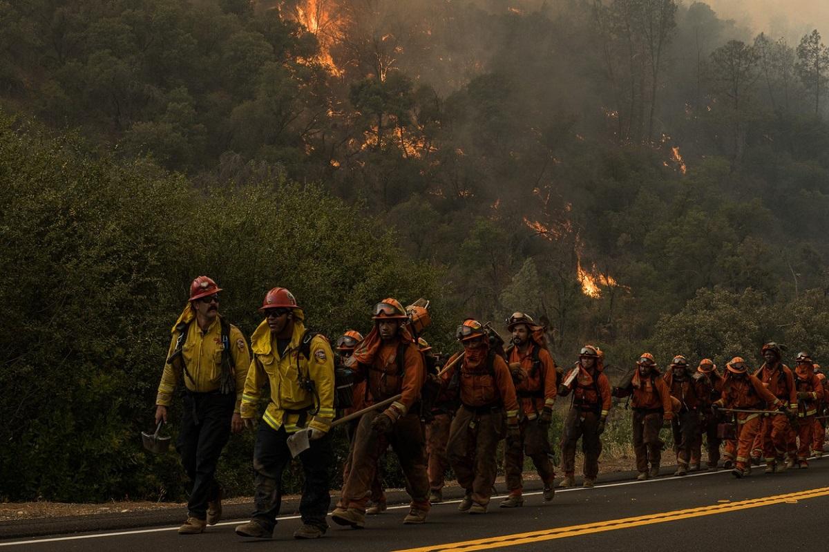 Pompierii luptă cu flăcările în California