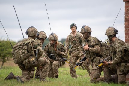 Un ulei folosit în spray-urile împotriva insectelor, folosit cu succes de militarii britanici în combaterea COVID-19