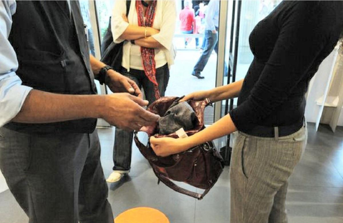 Româncă reținută după ce a furat produse cosmetice de 55 de euro dintr-un supermarket din Italia Românca reținută are 25 de ani