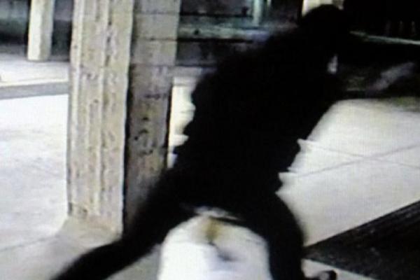Românul reținut în Italia are 20 de ani