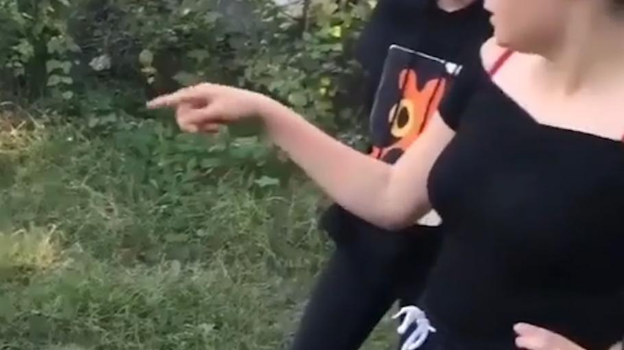Agresoarele Agresoarele care au bătut o fată de 13 ani în Târgu Jiu