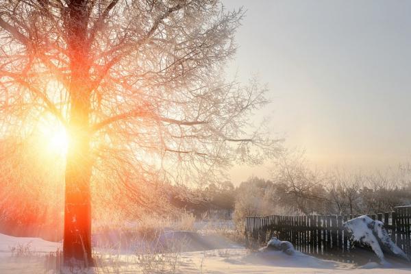 Vremea 4 - 17 ianuarie 2021. Bobotează cu temperaturi de primăvară