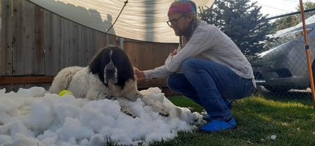Un câine pe moarte primește acasă zăpadă adusă cu gălețile de la un patinoar, în SUA, înainte să fie eutanasiat